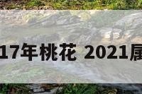 属鸡2017年桃花 2021属鸡桃花